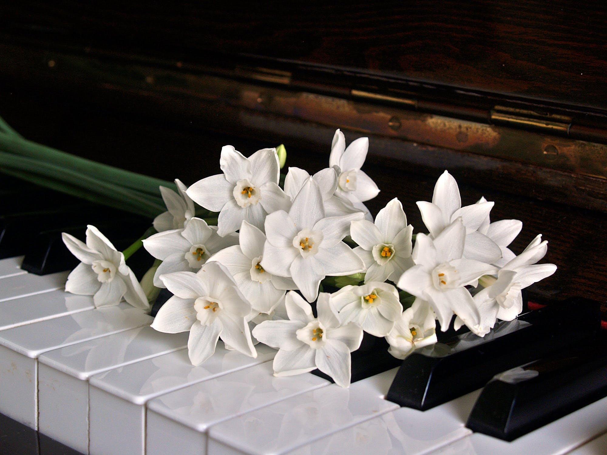 Fleurs piano